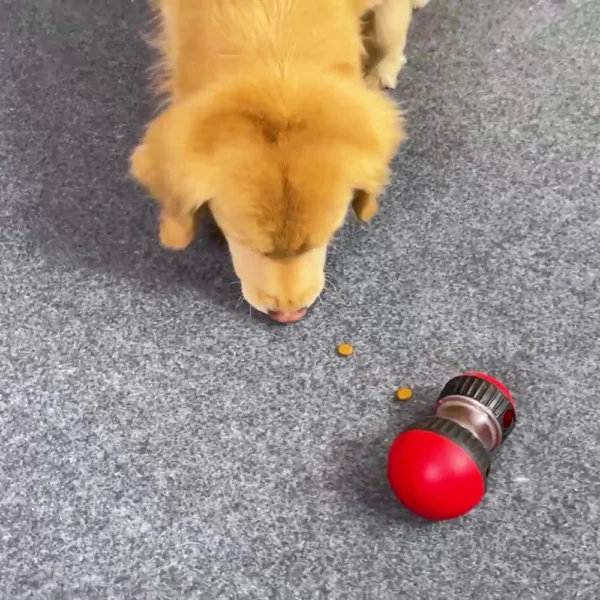 dog toy